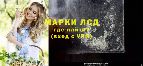 прущие грибы Абинск